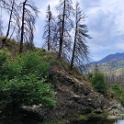 IMG_20240704_130036