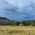 IMG_20240704_135908